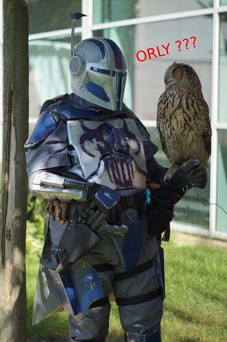 IMG_20260226_194457_081